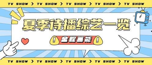娱乐吃瓜营销号,明星幕后那些事儿，吃瓜群众必看！