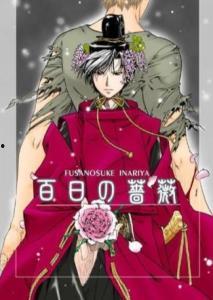 百日蔷薇背景,繁华落尽，岁月静好